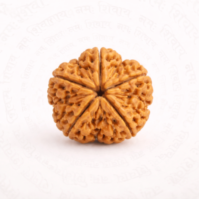 Natural 5 Mukhi Rudraksha – Original Five Face Sacred Bead
