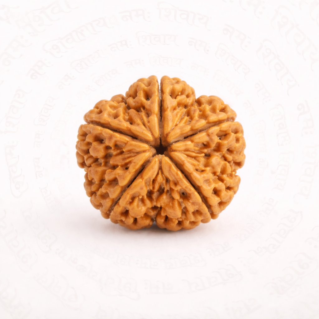 Natural 5 Mukhi Rudraksha – Original Five Face Sacred Bead